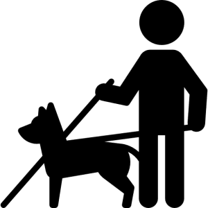 #PraCegoVer Audiodescrição Resumida: Em preto, ícone de uma pessoa segurando uma bengala em uma mão e a coleira de um cão guia na outra mão.
